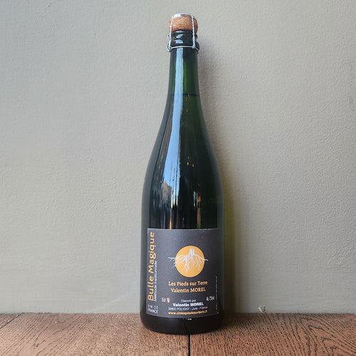 Valentin Morel, Les Pieds Sur Terre VDF Bulle Magique 2019