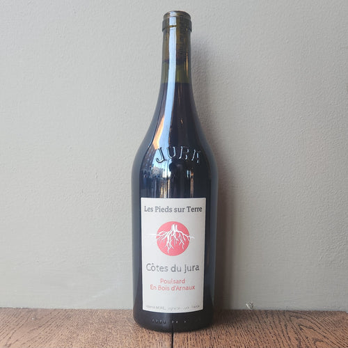 Valentin Morel, Les Pieds Sur Terre Poulsard En Bois d'Arnaux 2022