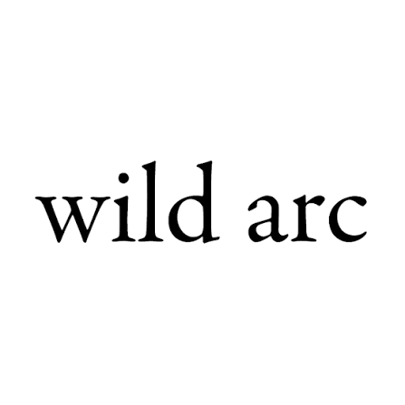 Wild Arc Can 355ml