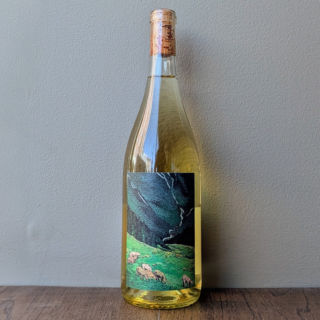 Kelley Fox Wines, Gruner Veltliner Willamette Valley 2024